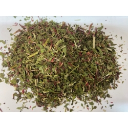 Pysznogłówka Monarda didyma 1 Kg